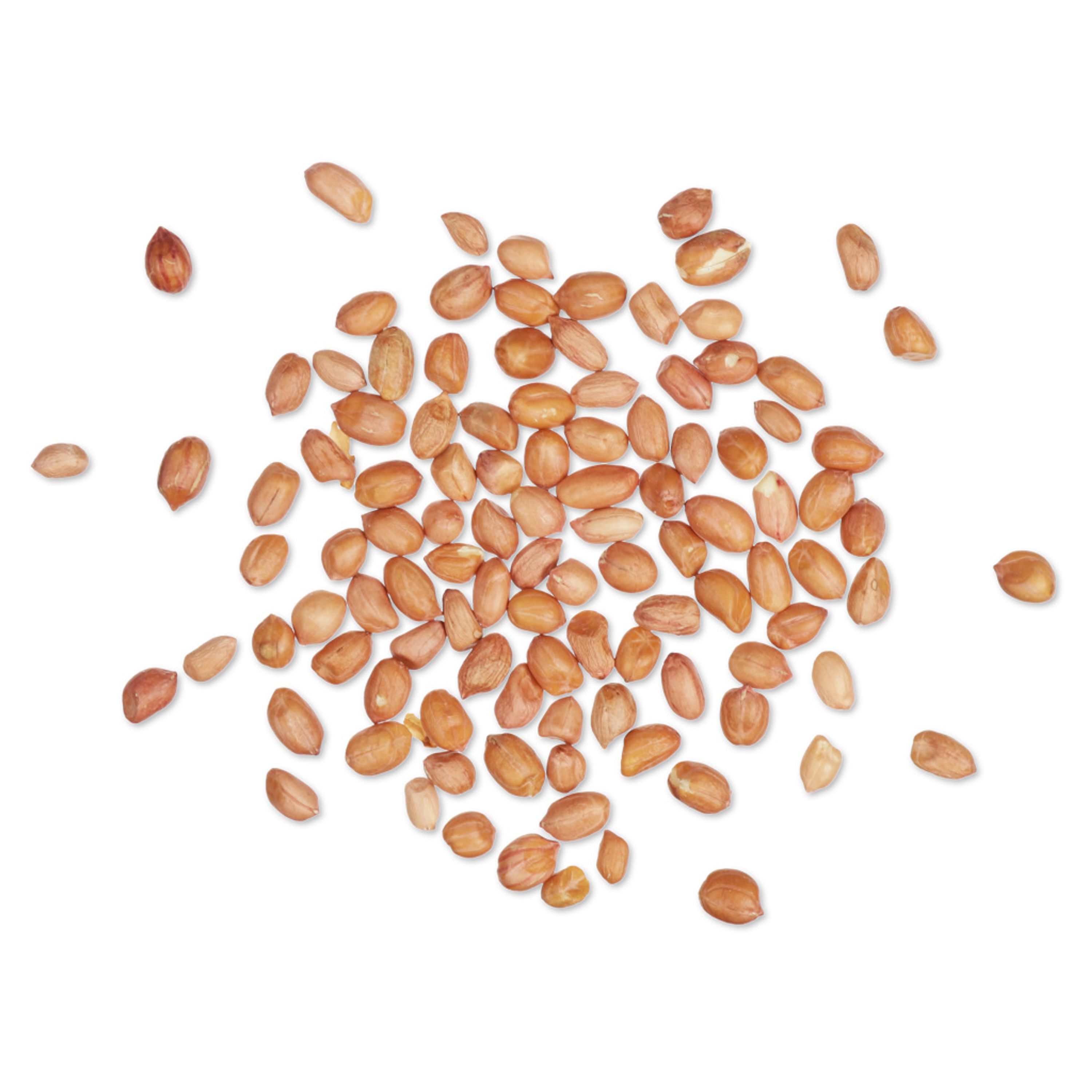 Snacktüte - Hochwertige Erdnüsse | Vogelfutter | CJ Wildlife